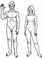 Thumbnail for version as of 17:27, 28 June 2012